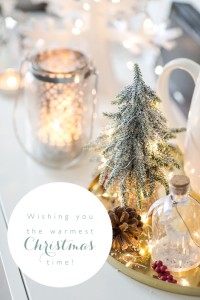 Merry Christmas from Marianne Taylor Photography!