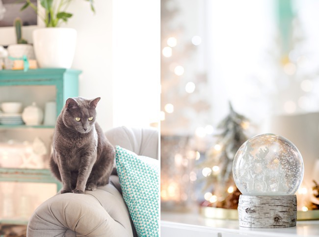Simple Christmas decorations with twinkly lights and snow. (Cat optional).