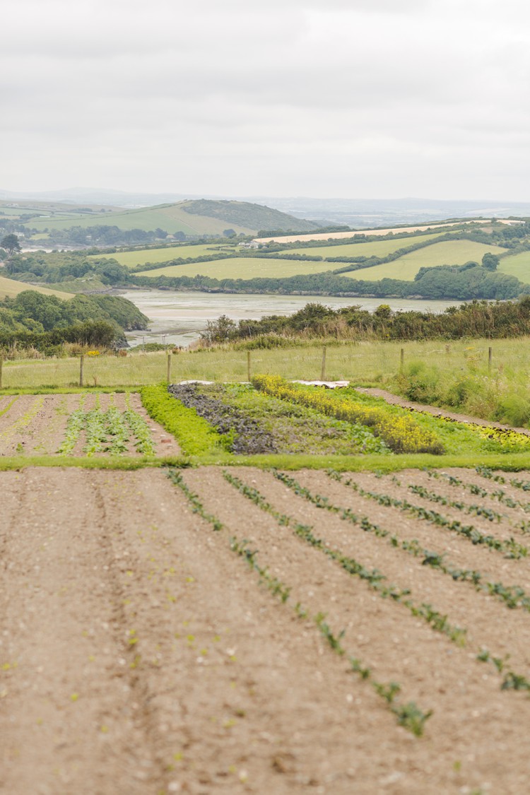 Birthday party photography in Padstow Kitchen Garden. Click through to see more magic of Cornwall!